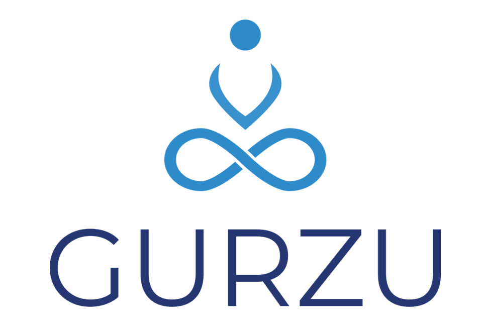 Gurzu Inc
